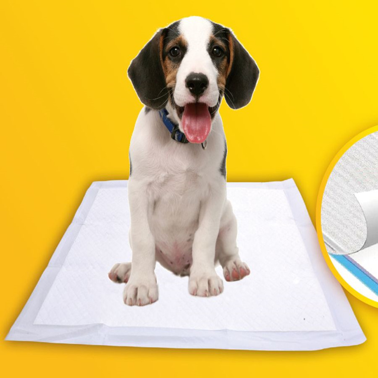 Puppy training pads dog pee mats large puppy pads high absorbency private label  popular in Brazil